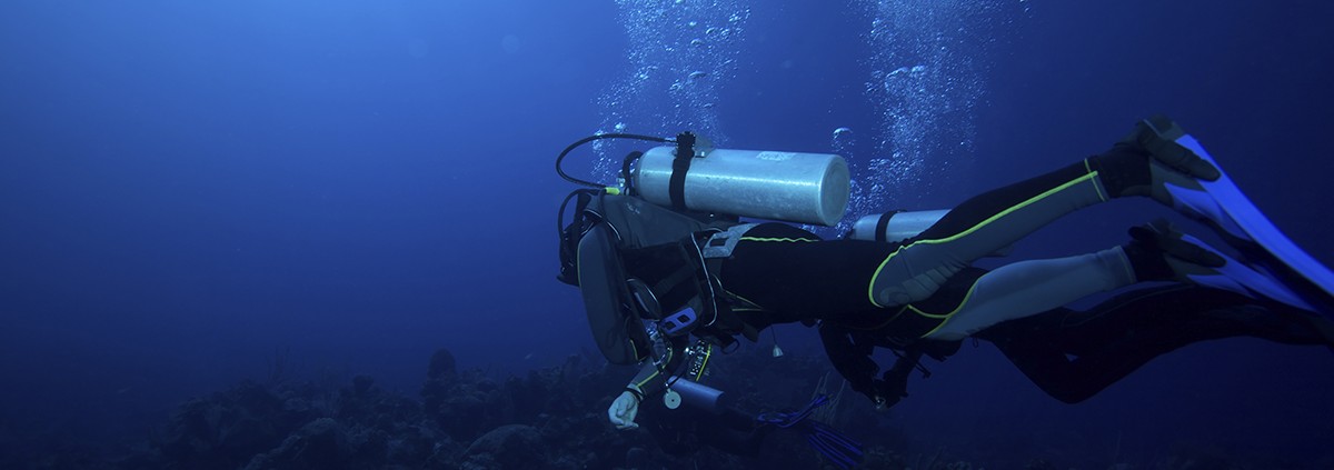 blue water reef scuba diving belize