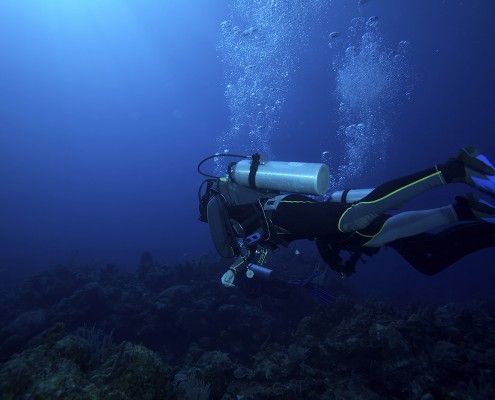 blue water reef scuba diving belize