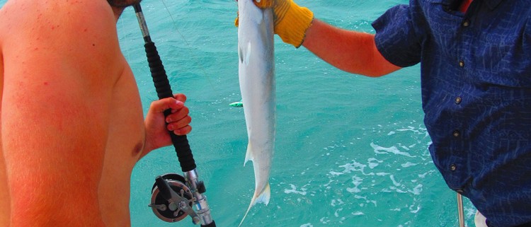 barracuda caught while fishing off luxury catamaran charter in belize