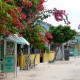 cooper's art gallery shop on white sand street in belize