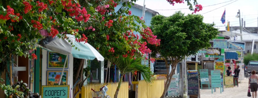 cooper's art gallery shop on white sand street in belize