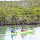 couples sea kayaking near mangroves in calm water near island