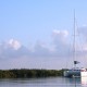 Doris luxury catamaran charter near mangroves in placencia belize