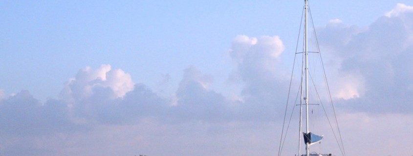 Doris luxury catamaran charter near mangroves in placencia belize