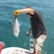 fish caught in belize off catamaran while chartering family vacation in belize