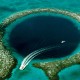 great blue hole scuba diving location in belize