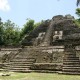 Lamina High Temple mayan jungle belize