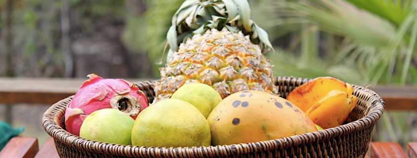 local fruit basket in jungle belize