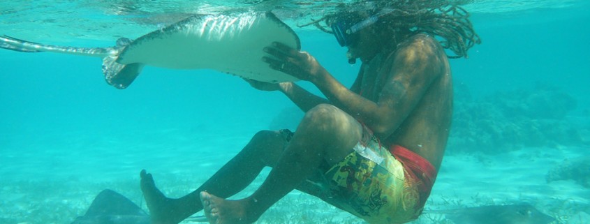 man touches ray while snorkeling in blue waters near belize reef