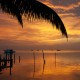 Sunset over water with palm tree and boats in belize