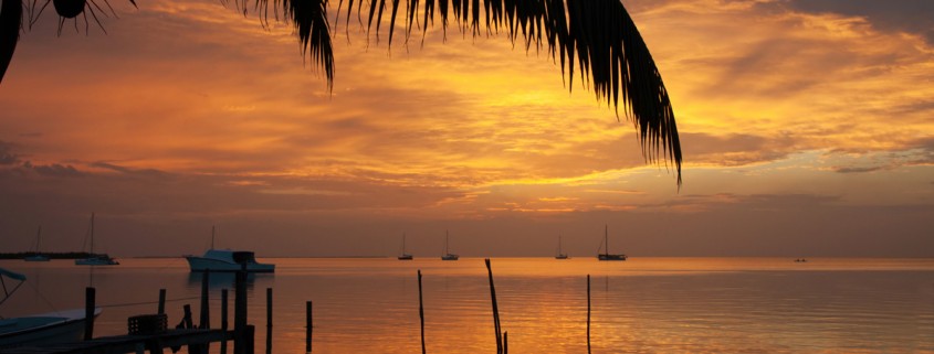 Sunset over water with palm tree and boats in belize