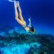 women diving while swimming and snorkeling on reef in belize