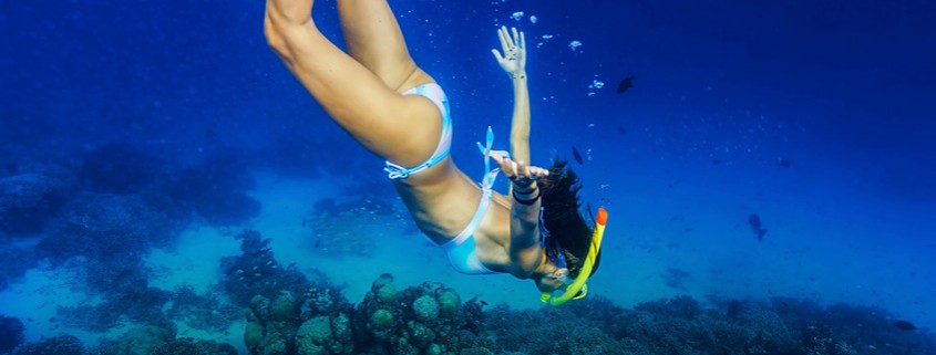 women diving while swimming and snorkeling on reef in belize