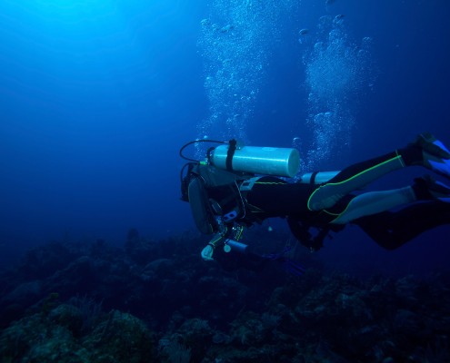 world class deep scuba diving over beautiful coral reef