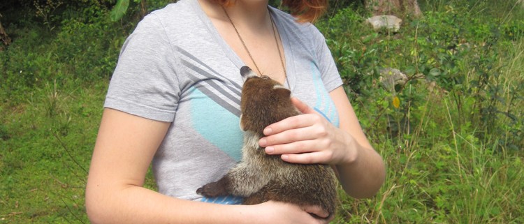 young girl holding furry animal in belize jungle